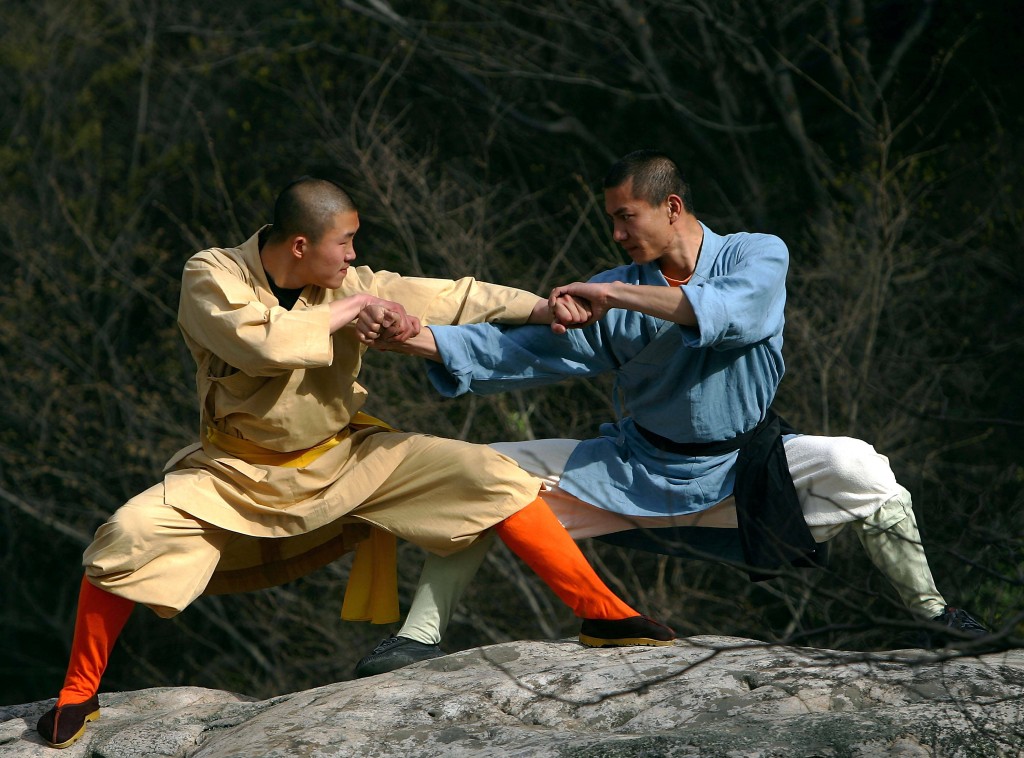 KungFu Adultes La Maison des Arts Martiaux Chinois