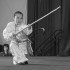 Kung-Fu Armes (Gunshu) MAMC83