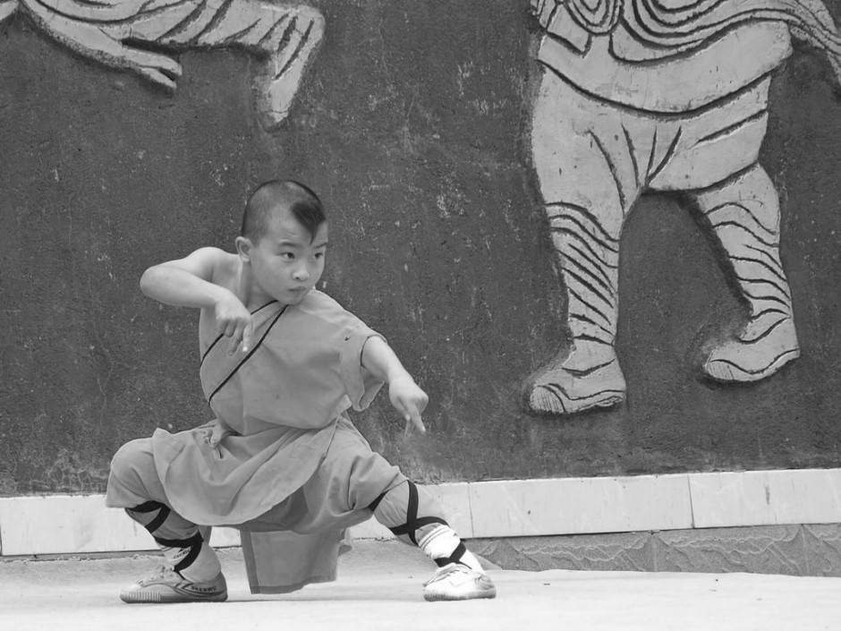 Stage d'été 2015 : Enfants Shaolin MAMC83