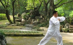 Tai ji quan MAMC83