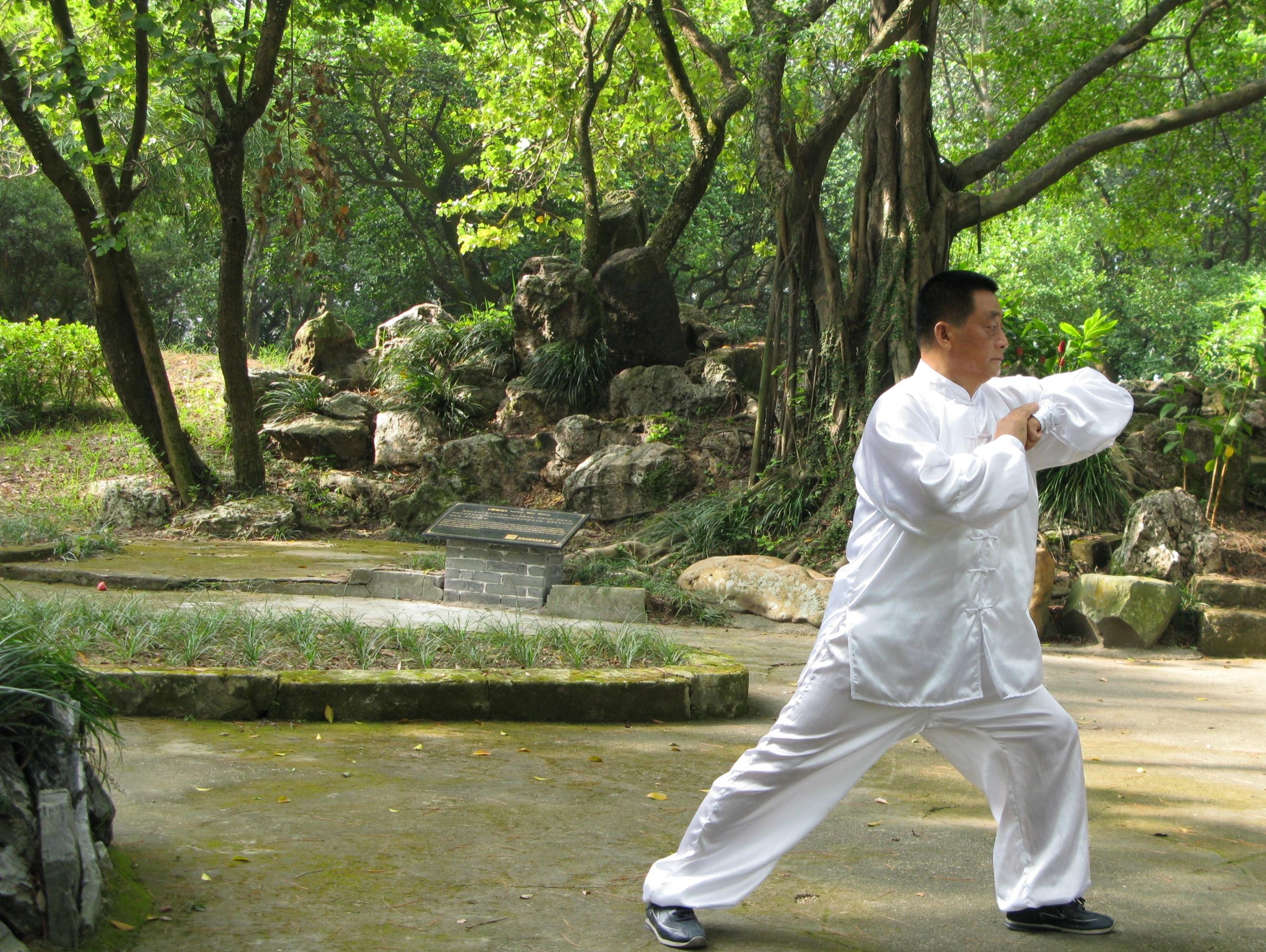 Tai ji quan MAMC83
